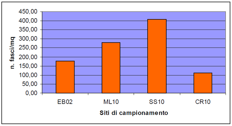 Densità dei fasci fogliari di Posidonia oceanica – costa toscana anno 2011