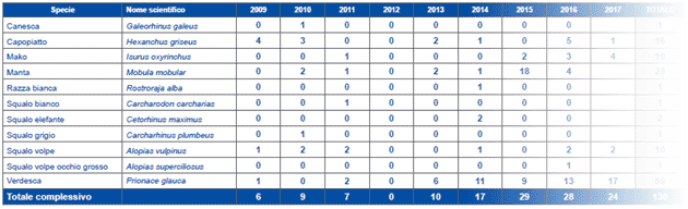 Rilevamenti di grandi pesci cartilaginei in Toscana – anni 2009-2017