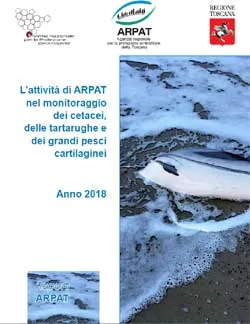 L’attività di ARPAT nel monitoraggio dei cetacei, delle tartarughe e dei grandi pesci cartilaginei – anno 2018