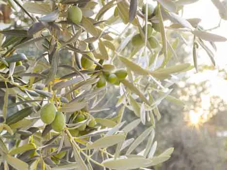 Immagine di kotkoa su Freepik