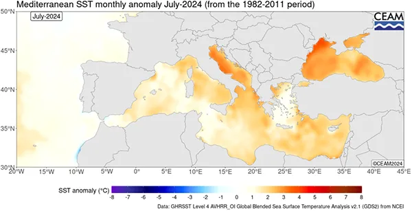 anomalia della temperatura superficiale del Mediterraneo nel mese di luglio 2024