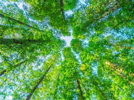 Immagine di 4045 su Freepik