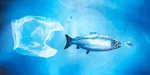 Sacchetto di plastica e pesce