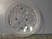 Le microplastiche nel mare della Toscana