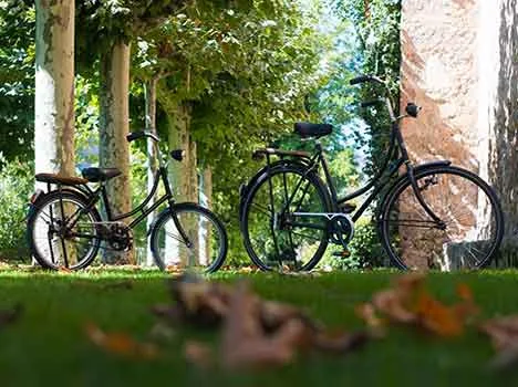 Foto di Estebanescu da Pixabay