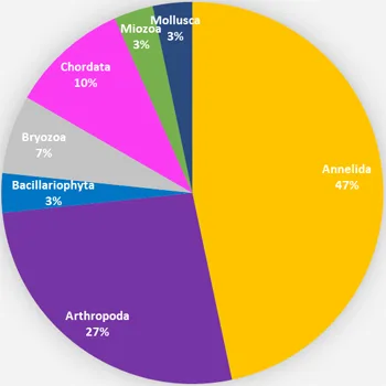 componenti divise per phylum
