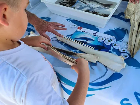 Un mare di amici a Livorno: istituzioni, associazioni, scuole e cittadini a difesa del pianeta