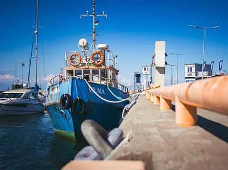 Foto di Jevgeni Fil da Pixabay