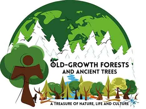 Il ruolo delle foreste vetuste per la mitigazione degli effetti dei cambiamenti climatici