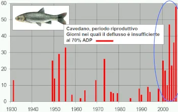 area disponibile ponderata Cavedano
