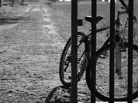 foto di Raffaele Fava