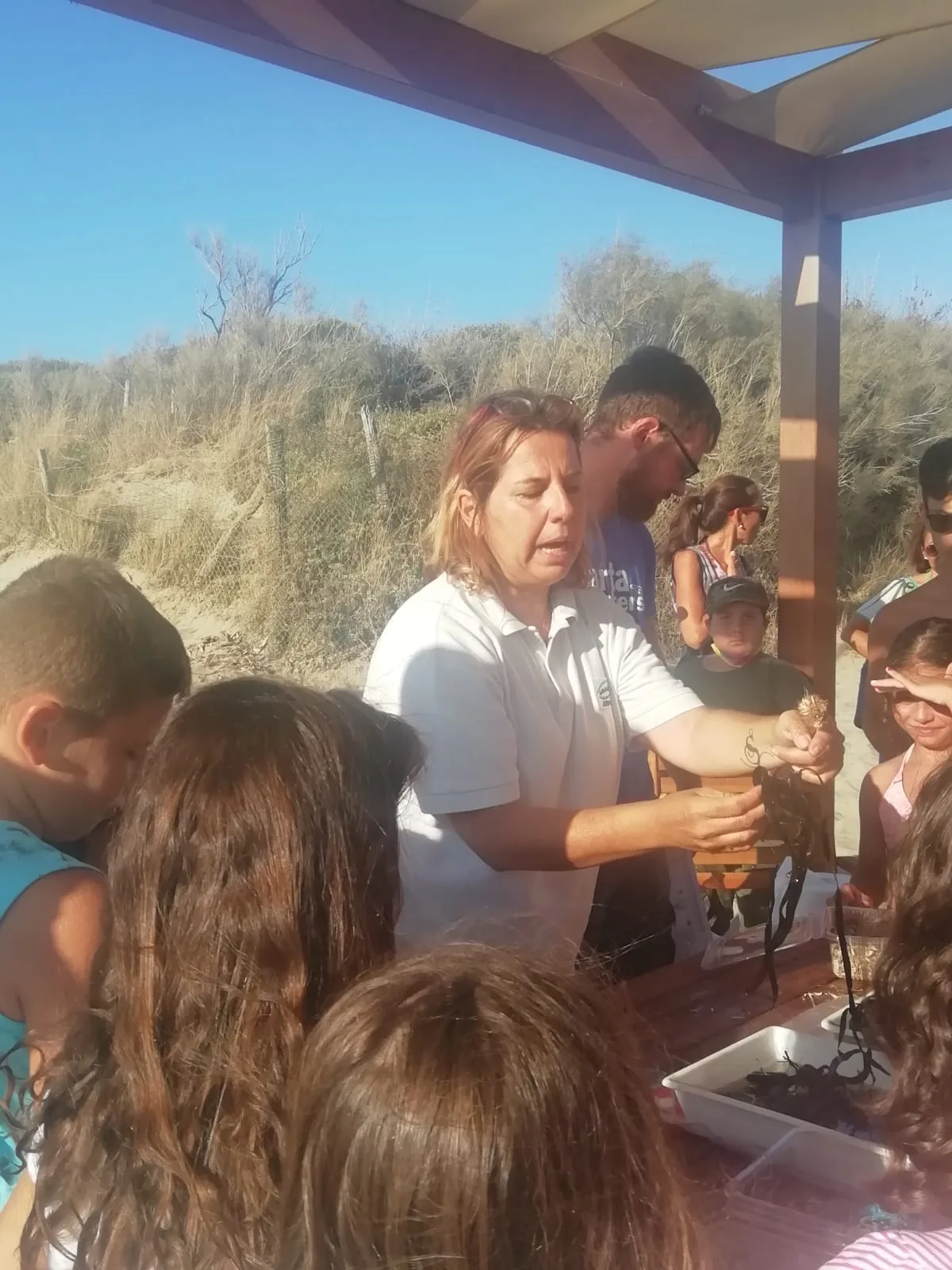 P come Pelagos, P come Posidonia