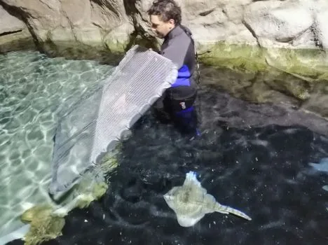 Livorno, sperimentazione di rete bioplastica biodegradabile in acqua di mare