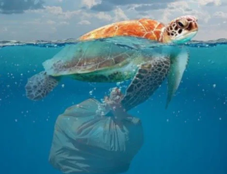 Foto di Pete Linforth da Pixabay