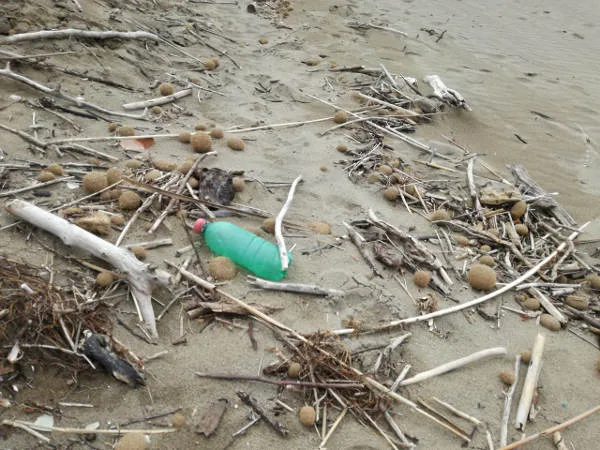 Rifiuti presenti sulle spiagge