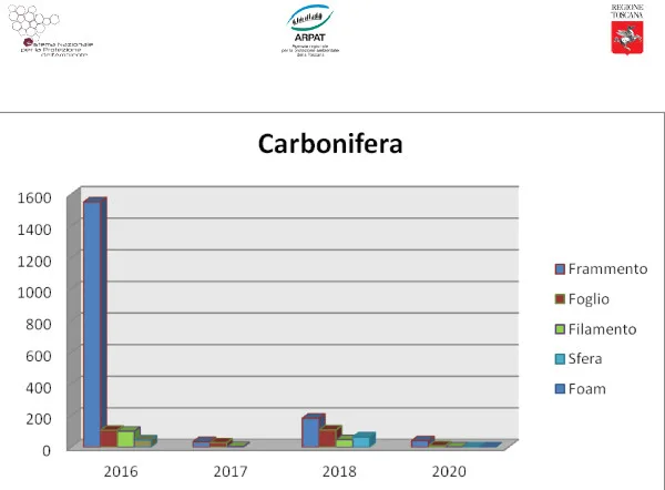 microplastiche spiaggia Carbonifera