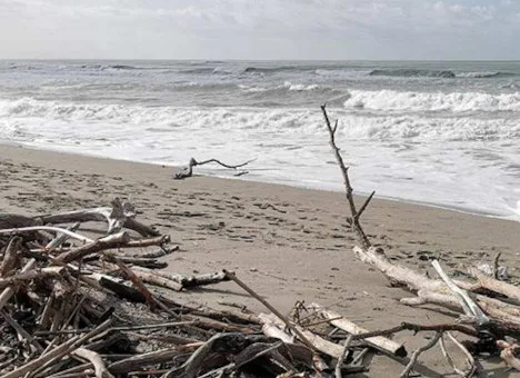 La ricerca sull’inquinamento da microplastiche in Toscana