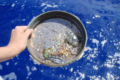 Microplastiche in ambiente di acqua dolce
