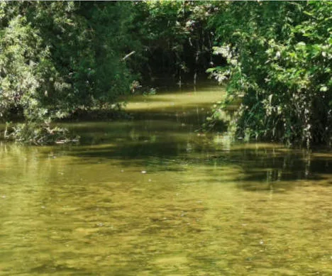 ARPAT: esito dell’attività di controllo sul fiume Sieve e sui torrenti Anguidola e Rimotoso nel territorio mugellano