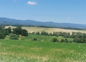 campi di recente semina - bacino 