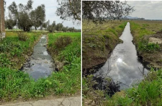 Cattivi odori Strada provinciale n. 40 – Grosseto