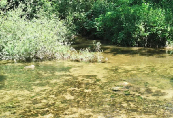 Opalescenza acqua - Mugello