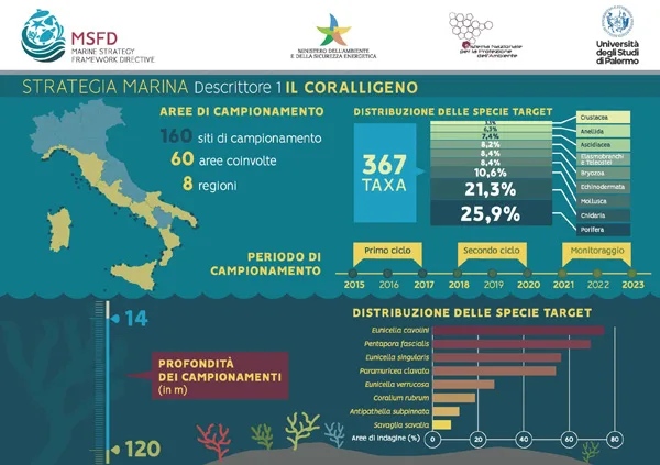 infografica su coralligeno