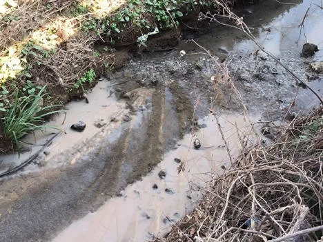 Pistoia: intervento ARPAT sul torrente Stella