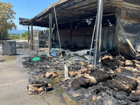 Materiale bruciato nell'incendio presso la ditta Stefanini in Lucca srl