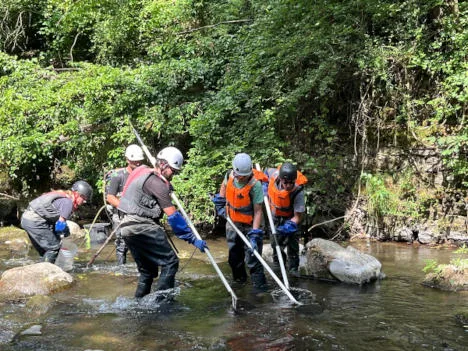 Accertamenti sul corso d'acqua