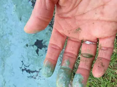 Colorazione anomala nel lago del Villone Puccini a Pistoia: sopralluoghi di ARPAT