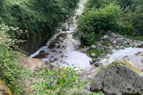 particolare del torrente Pescia