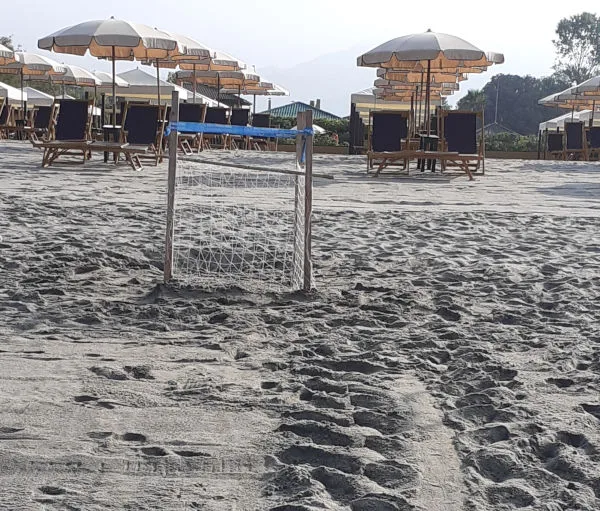tracce di tartaruga Caretta caretta sulla spiaggia