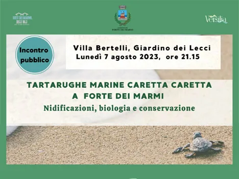 I nidi di tartarughe marine Caretta caretta a Forte dei Marmi (LU)