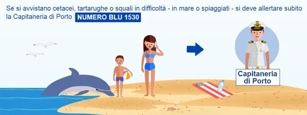 Se si avvistano delfini, tartarughe o squali, spiaggiati o in avaria, segnalare immediatamente alla Capitaneria di porto - Numero blu 1530