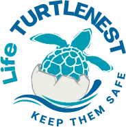 Logo progetto turtlenest