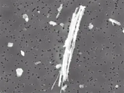 fibra di amianto al microscopio